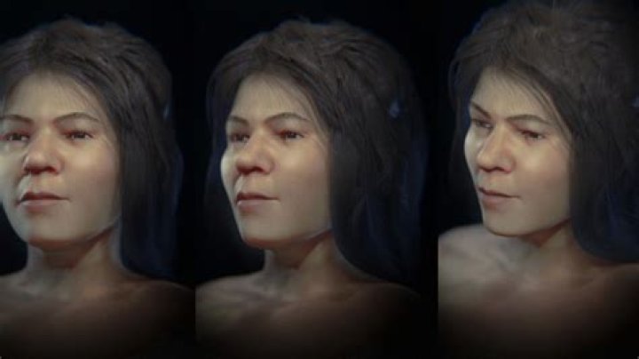 Identity, Memory, And Body Explored
