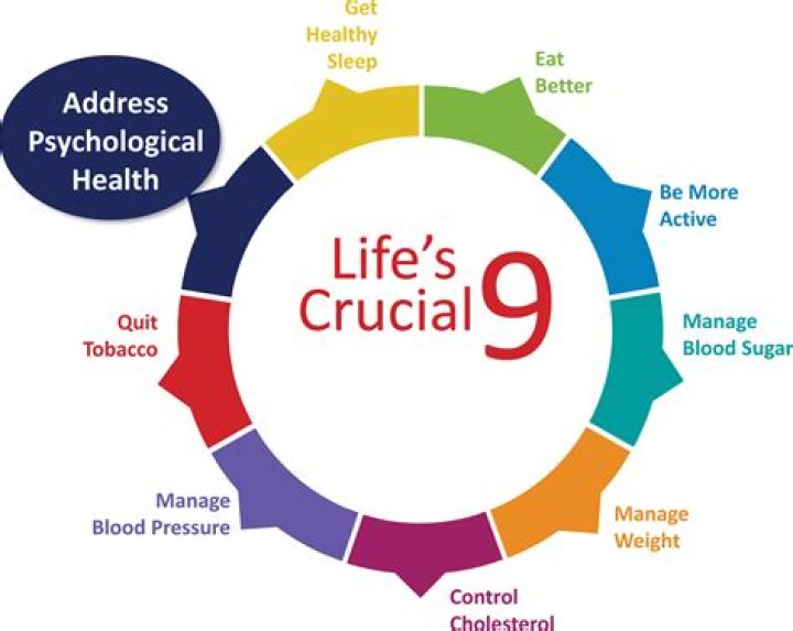 Revelations And Crucial Insights Into Cardiovascular Health